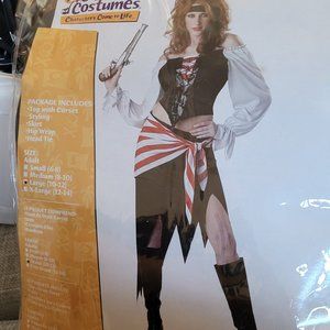 Ladies pirate costume